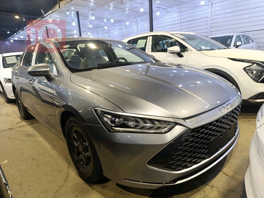 بی وای دی Qin Plus